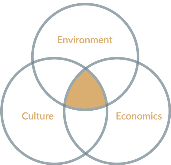 A Venn diagram illustrating architectural sustainability.